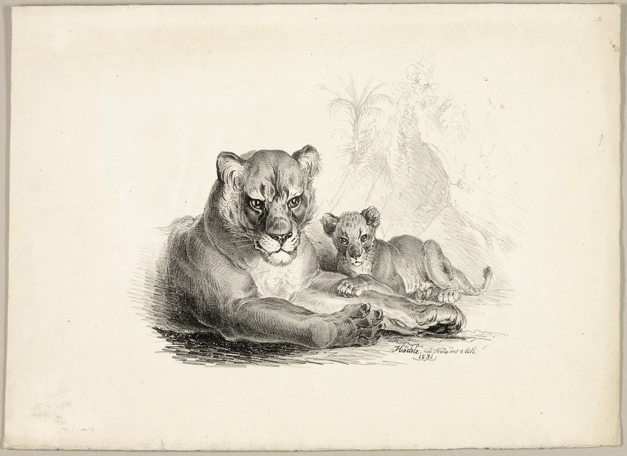Leeuw met welpen door Johann Höchle