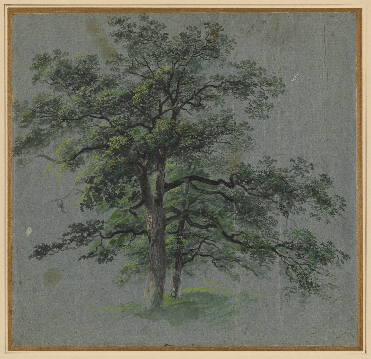 Twee bomen (recto) door Johann Jacob Dorner