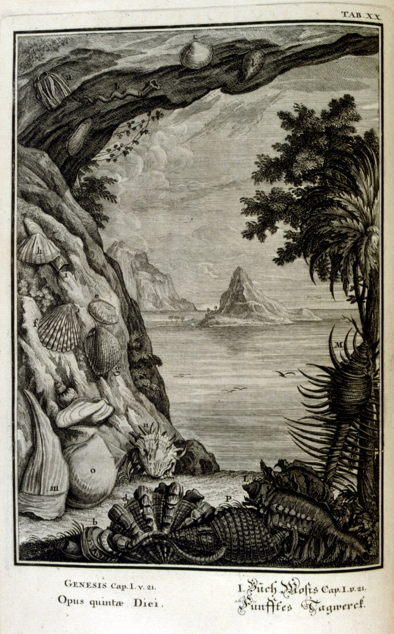 Kopergravure uit 