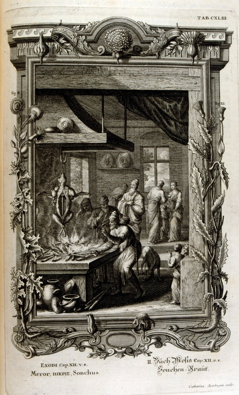 Illustratie uit Physique sacree, ou Histoire-naturelle de la Bible door Johann Jakob Scheuchzer