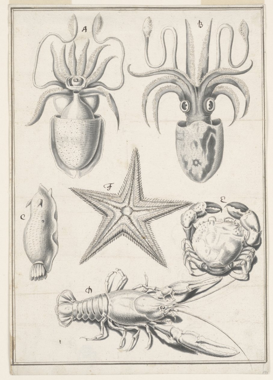 Vijfde dag werk door Johann Melchior Füssli