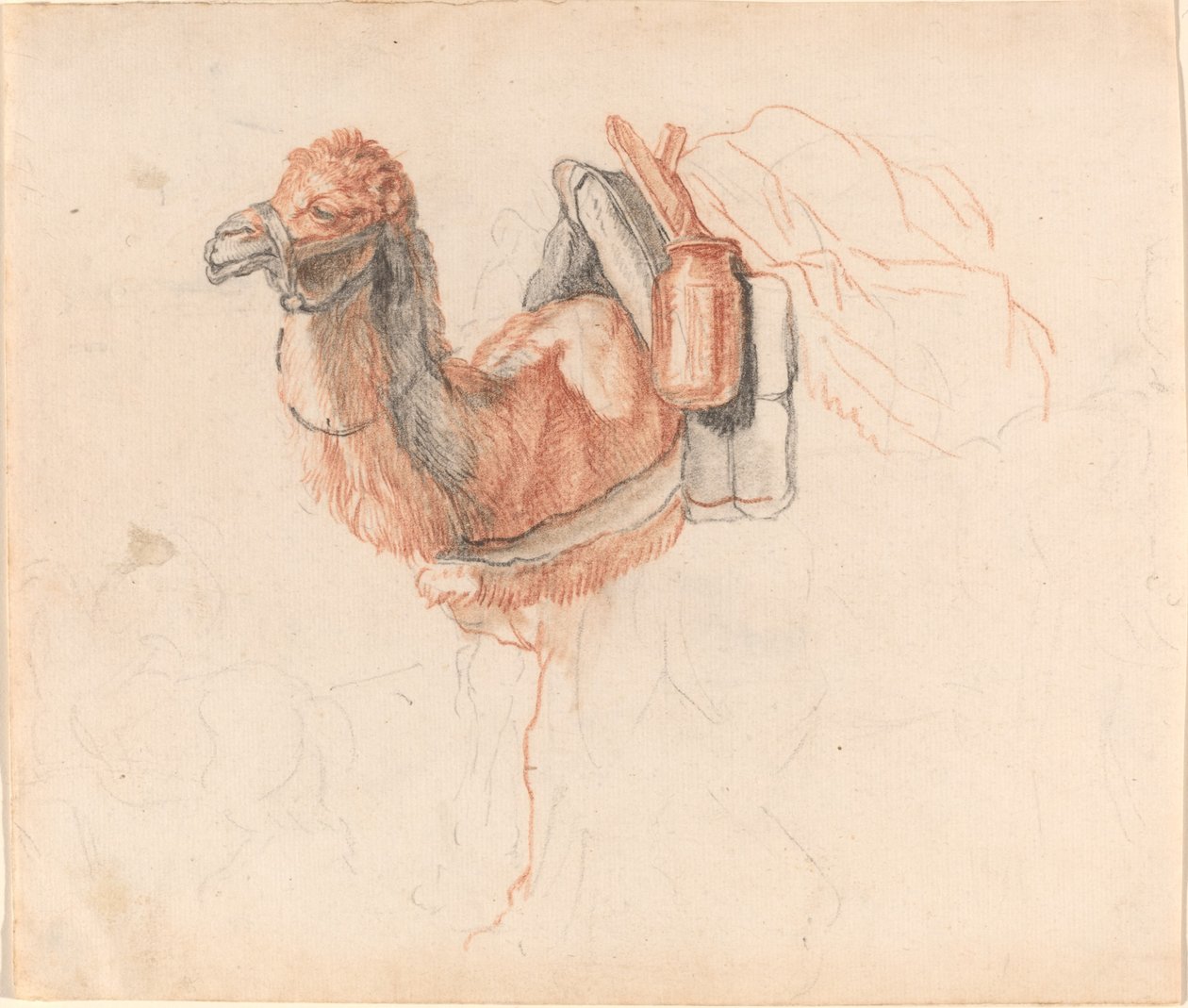 Kameel door Johann Rudolph Schellenberg