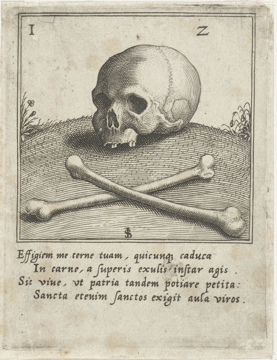 Vanitasvoorstelling met een schedel en twee beenderen door Johann Sadeler (I)