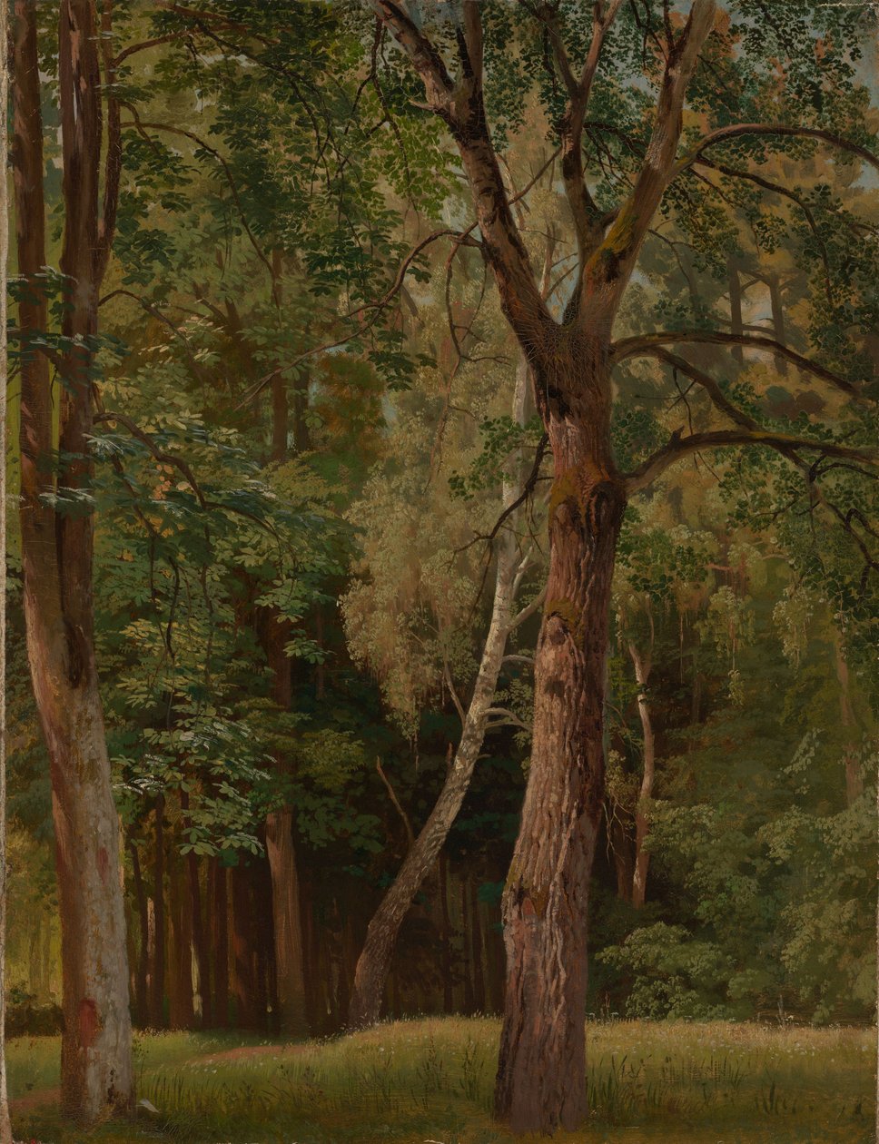 Loofbos met kastanjebomen en berken door Johann Wilhelm Schirmer