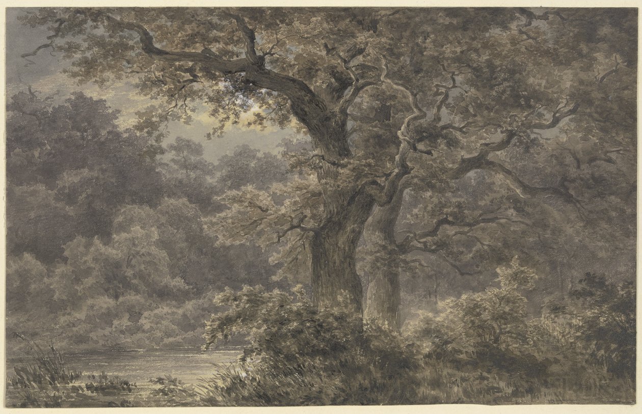 Eiken in het bos door Johann Wilhelm Schirmer