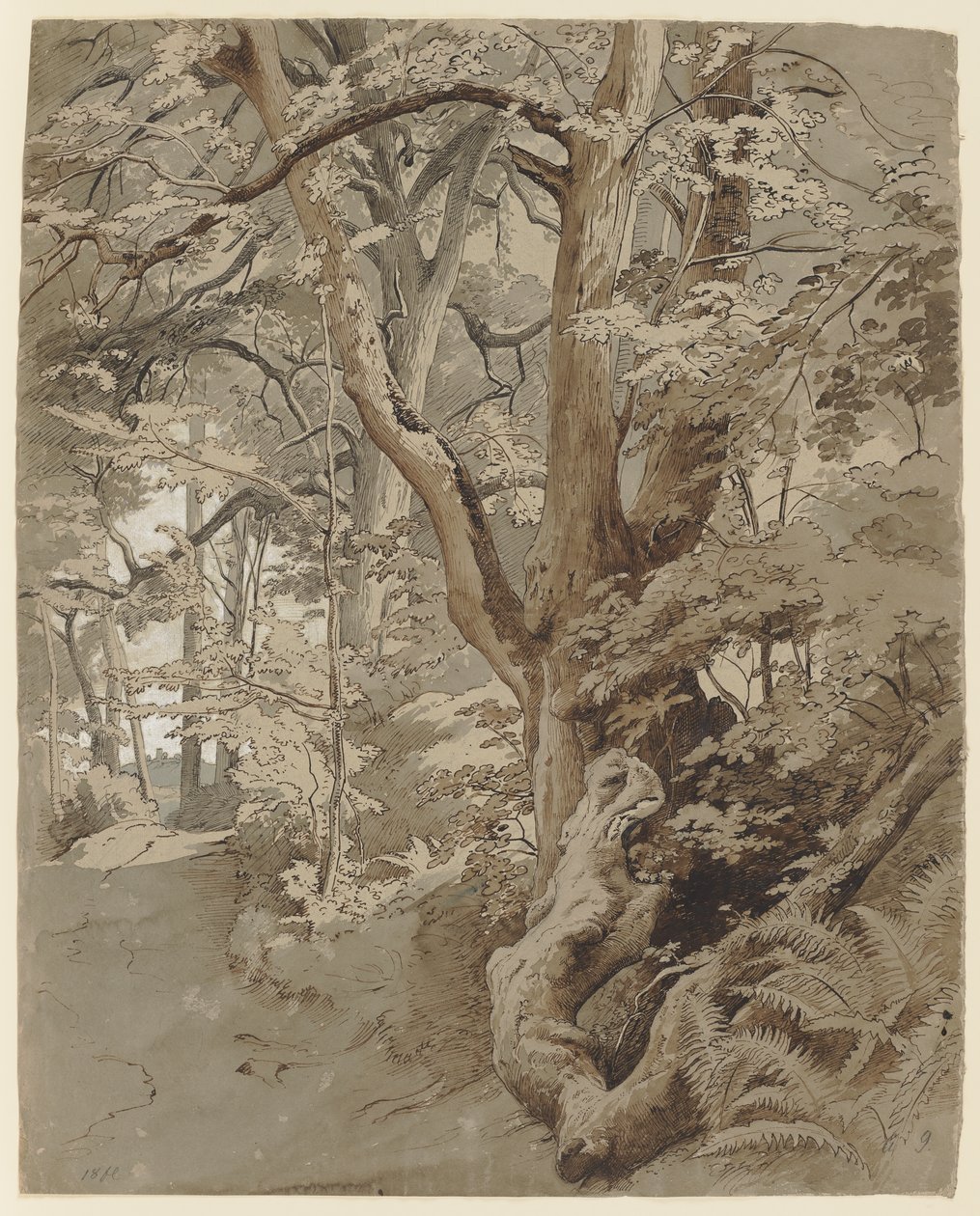 Bospartij met een eik en varens door Johann Wilhelm Schirmer
