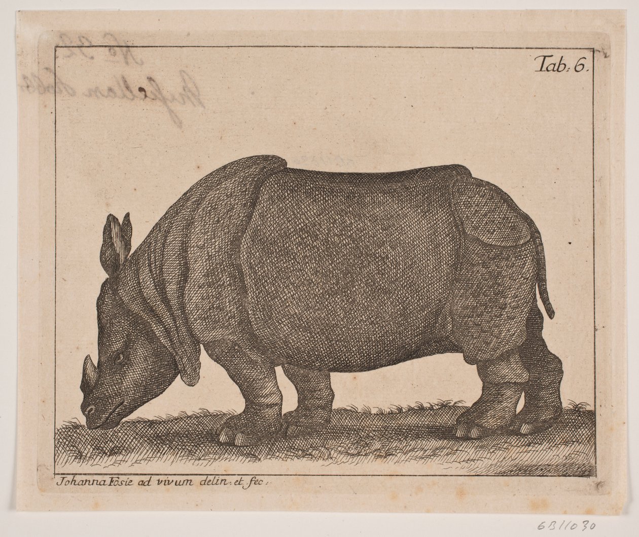 Een neushoorn door Johanna Fosie