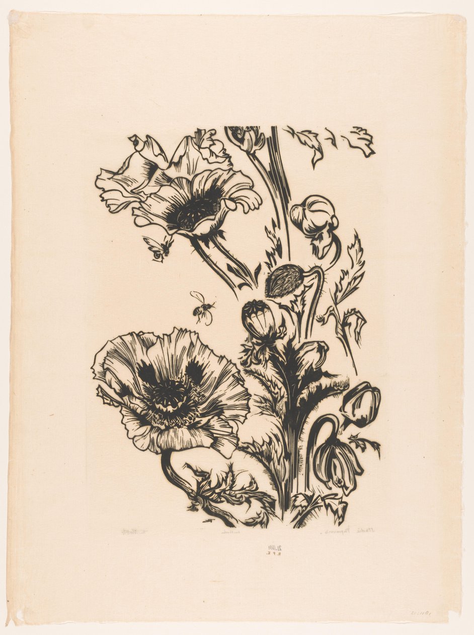 Studie papavers door Johannes Frederik Engelbert ten Klooster (signed by artist)