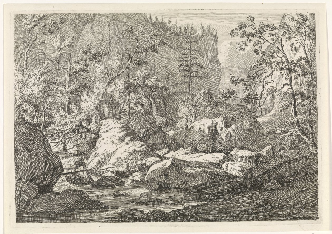 Ravijn met rotsblokken en bomen door Johannes Glauber