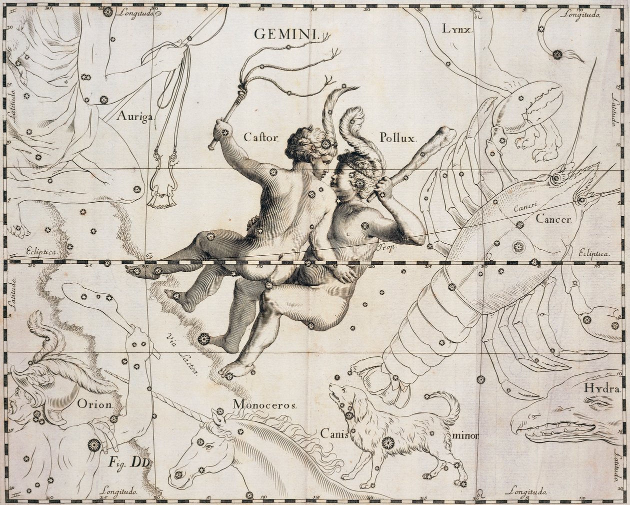 Het sterrenbeeld Tweelingen, illustratie uit Firmamentum Sobiescianum sive Uranographia, door Johann Hevelius (1611-1687), Gdansk 1690 door Johannes Hevelius