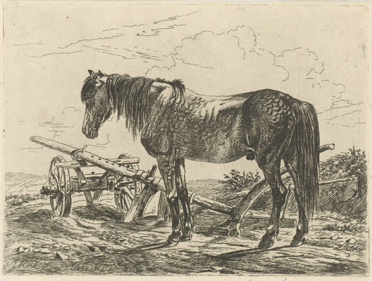 Paard bij een ploeg door Johannes Mock