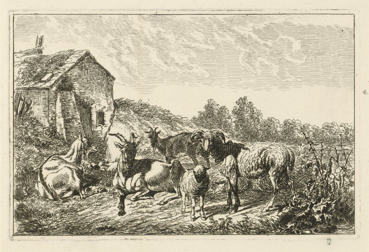 Vier geiten en een schaap bij een huis door Johannes Mock