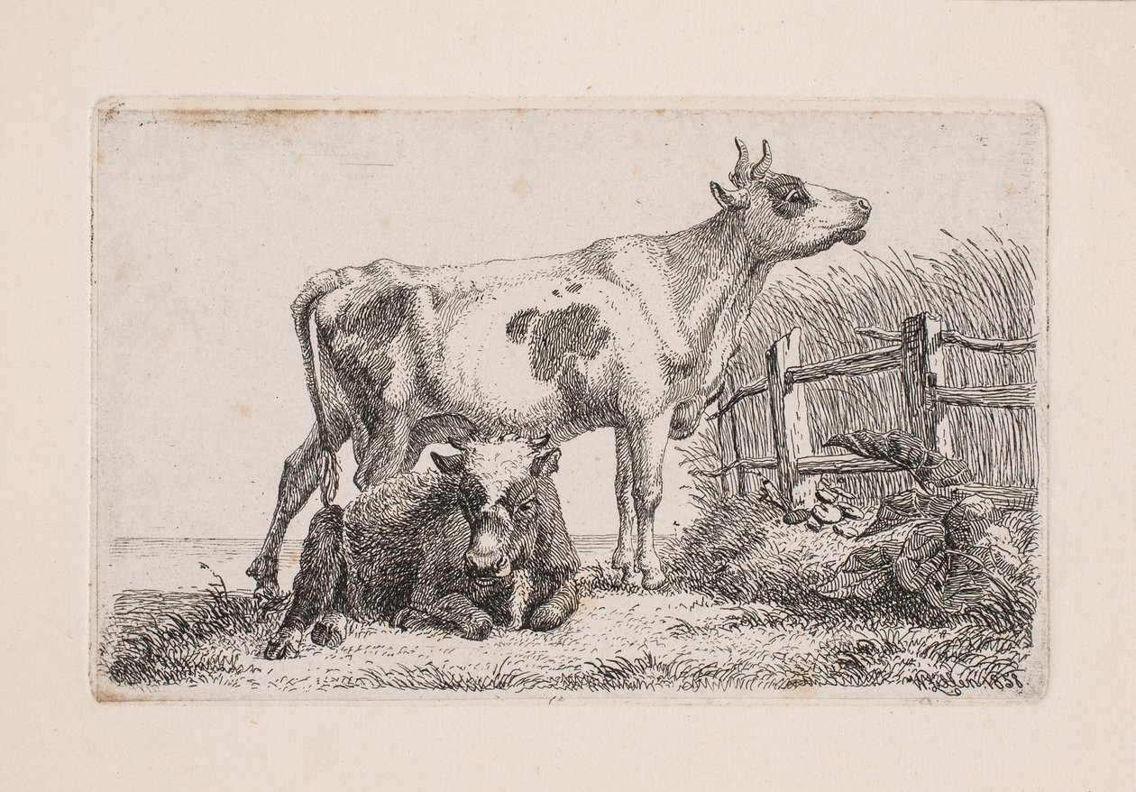 Een rustende en een staande koe door Johannes Wilhelm Zillen