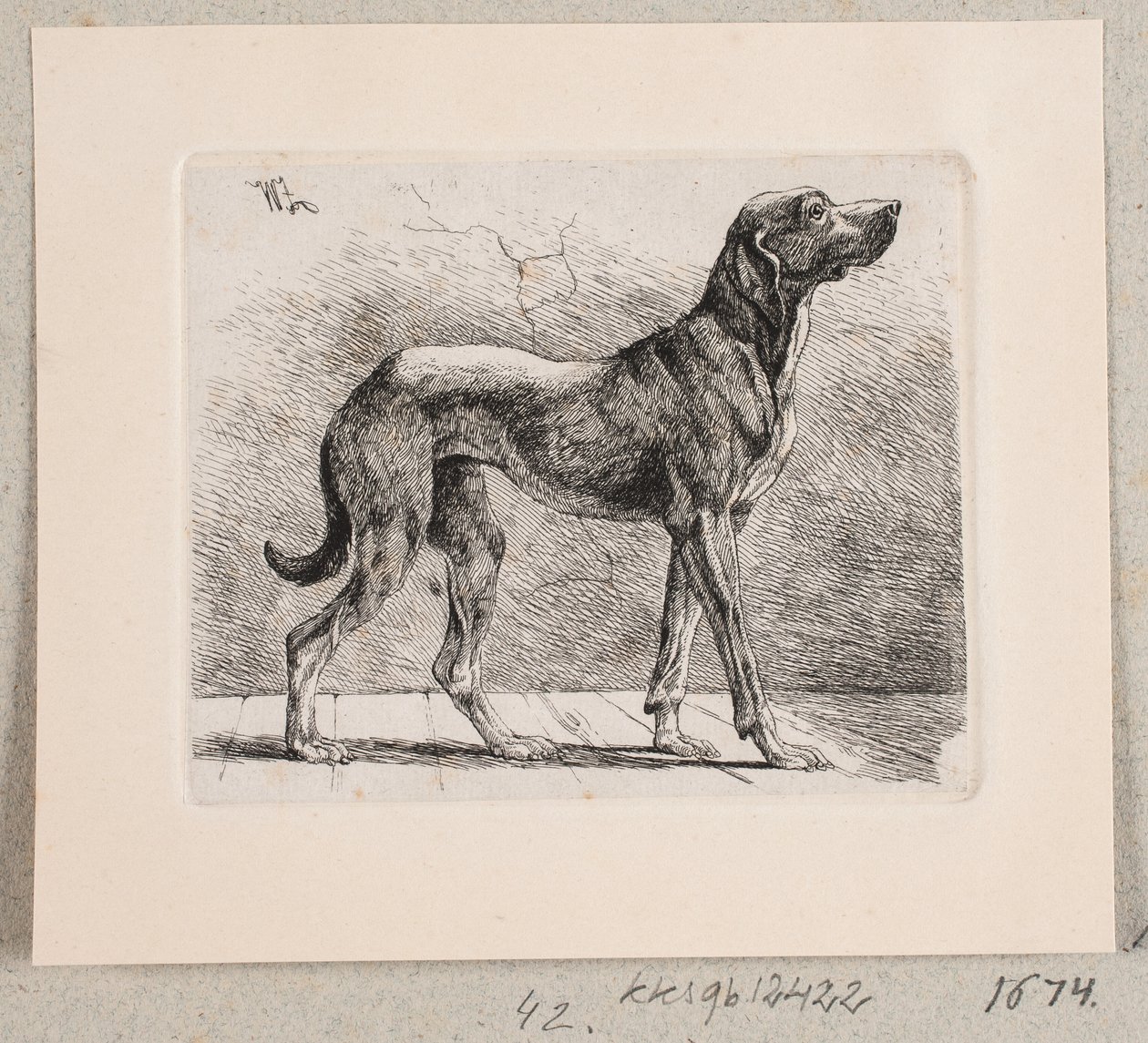 Een staande hond door Johannes Wilhelm Zillen
