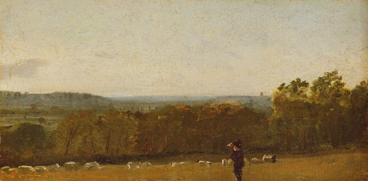 Een Herder in een Landschap kijkt over Dedham Vale naar Langham, c.1810 door John Constable