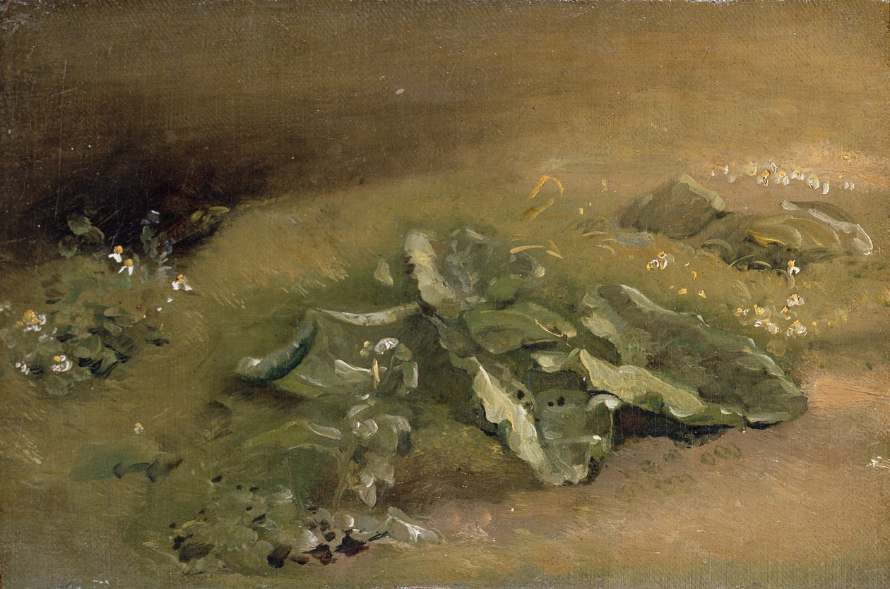 Een studie van klis door John Constable