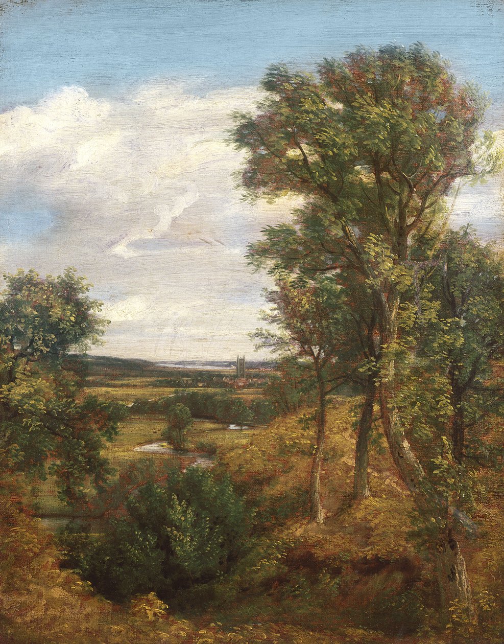 Dedham Vale, 1802 door John Constable