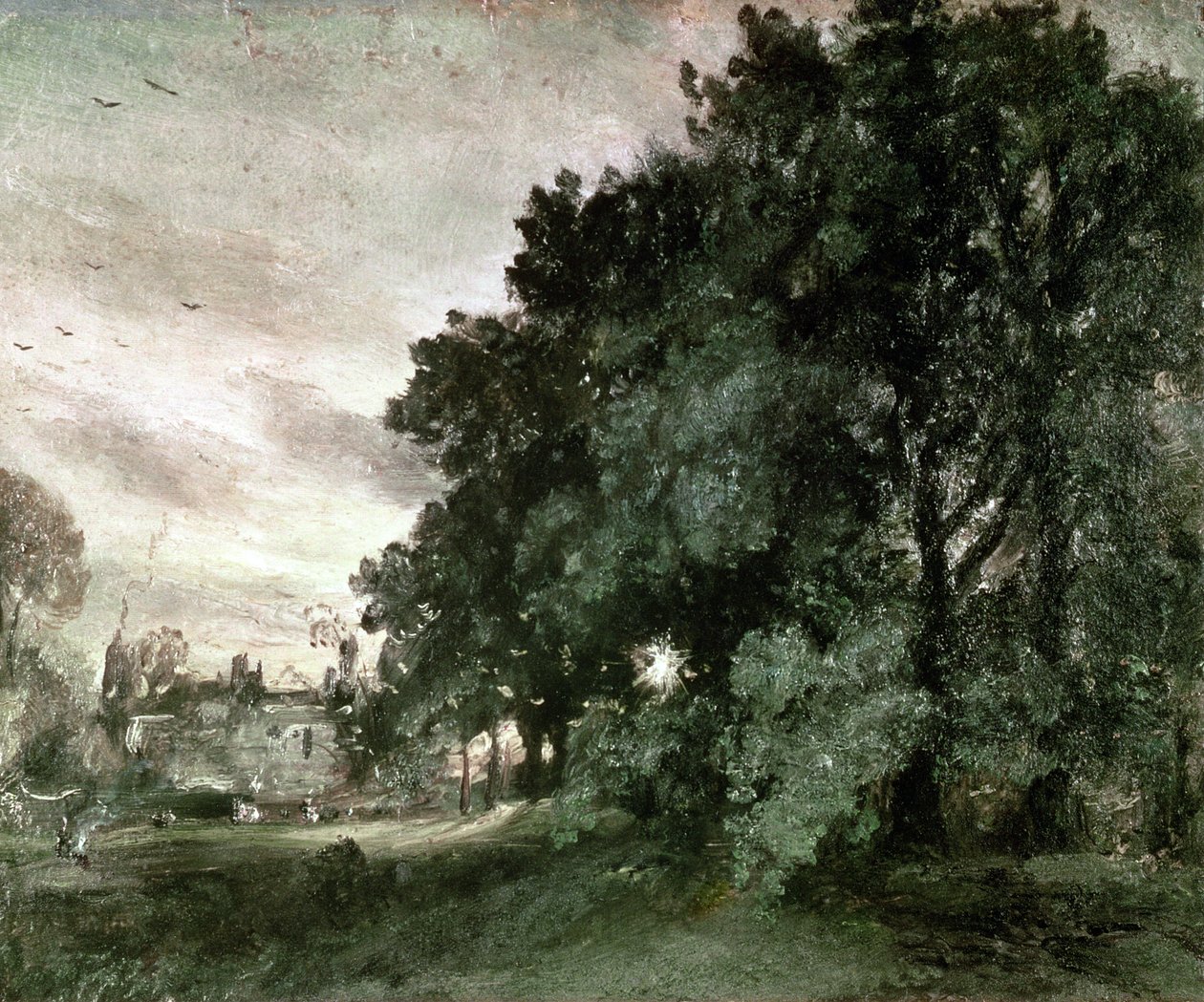Studie van bomen door John Constable