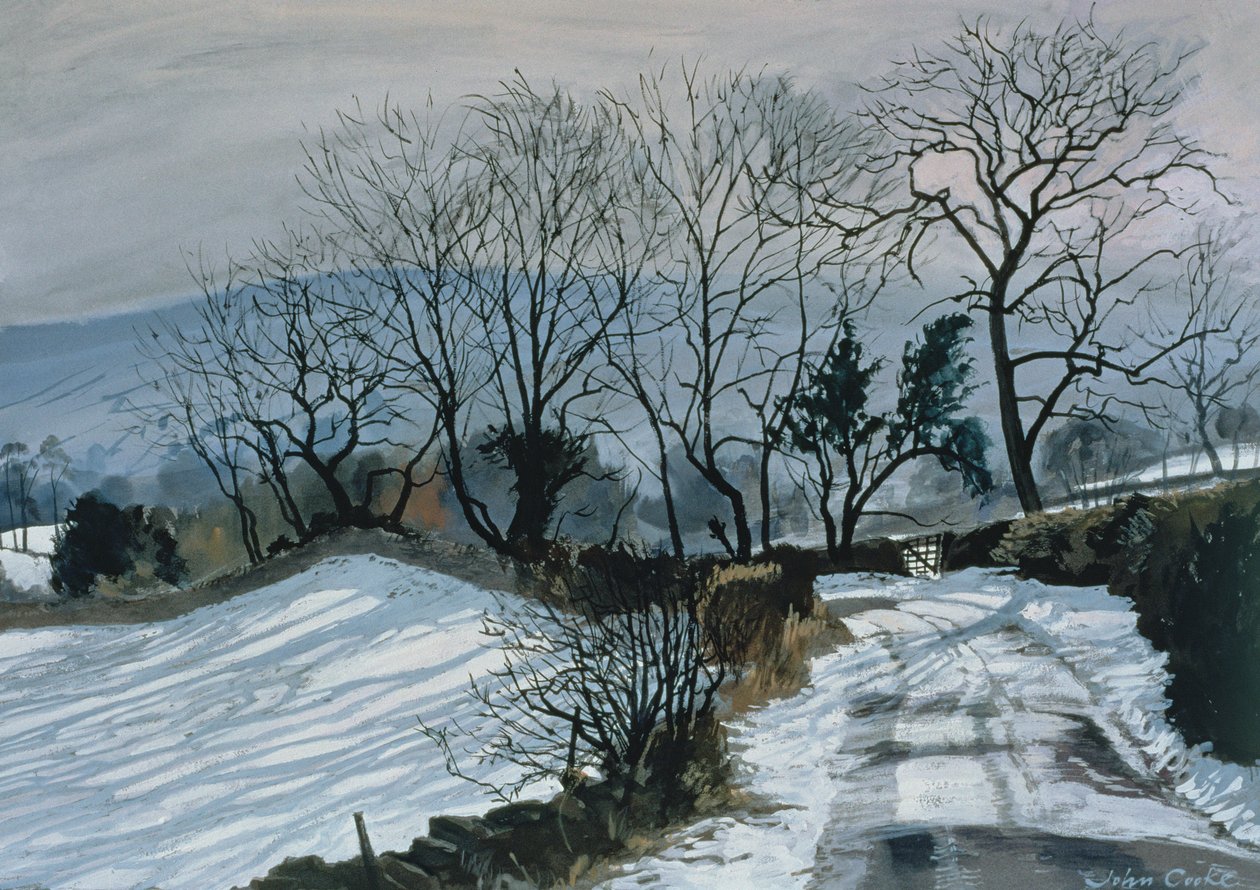 Weg naar Deepdale, 1998 door John Cooke