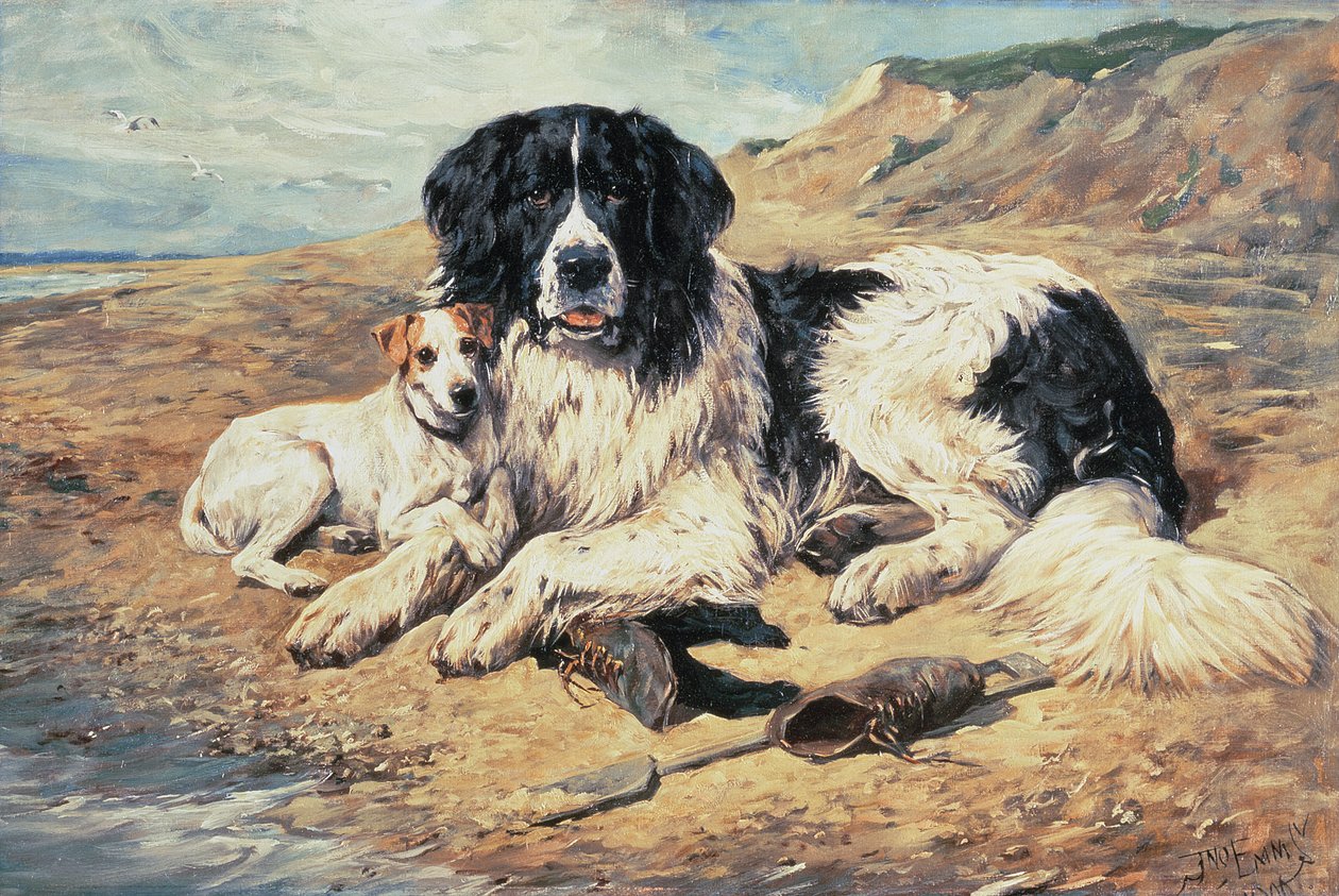 Honden kijken naar baders, 1900 door John Emms