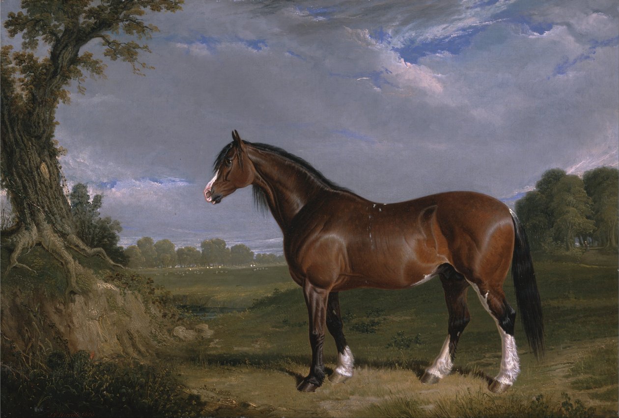 Een Clydesdale hengst door John F. Herring