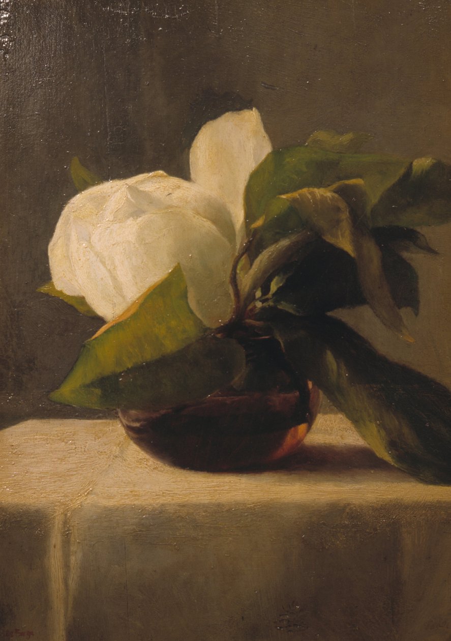 Magnolia door John La Farge or Lafarge