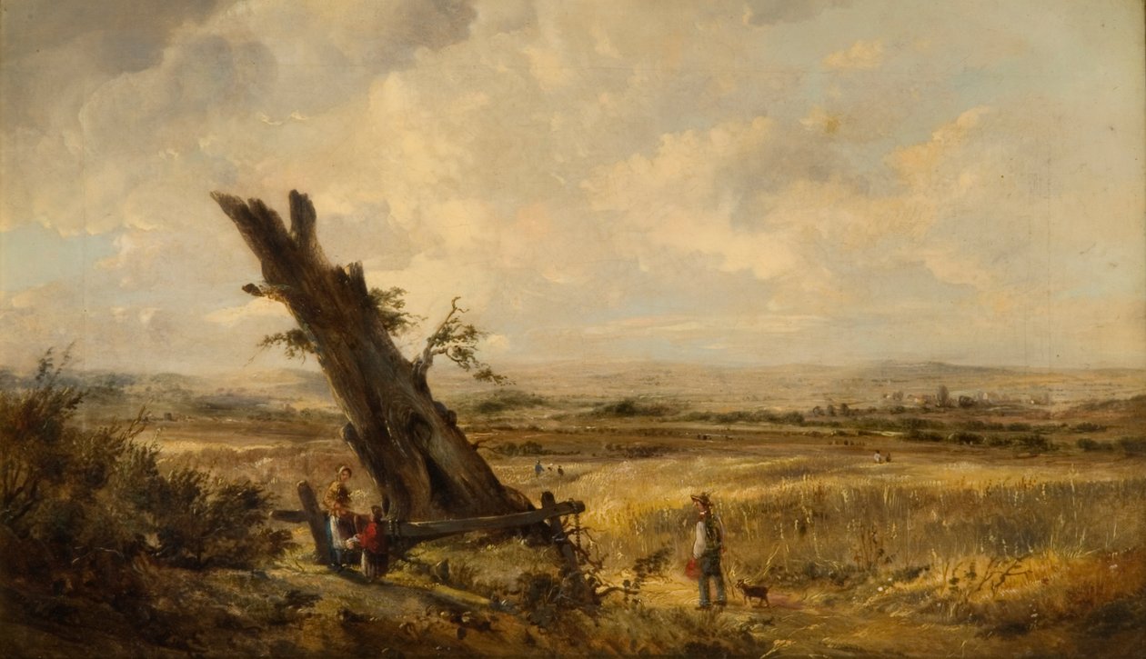 Landschap met Korenveld door John Linnell