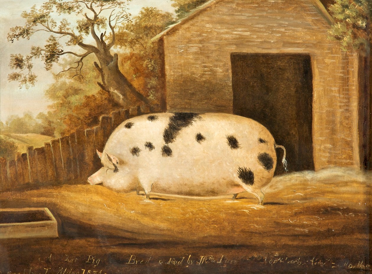 Gloucester Old Spot Varken, 1834 door John Miles of Northleach