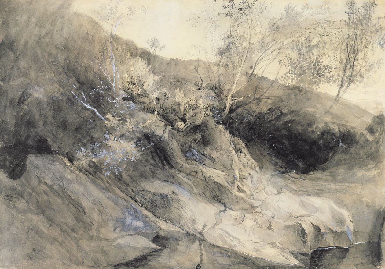 De Rotsachtige Oever van een Rivier - Verso: schets van gebladerte, c.1853 (wassing met pen en inkt over grafiet op papier) door John Ruskin