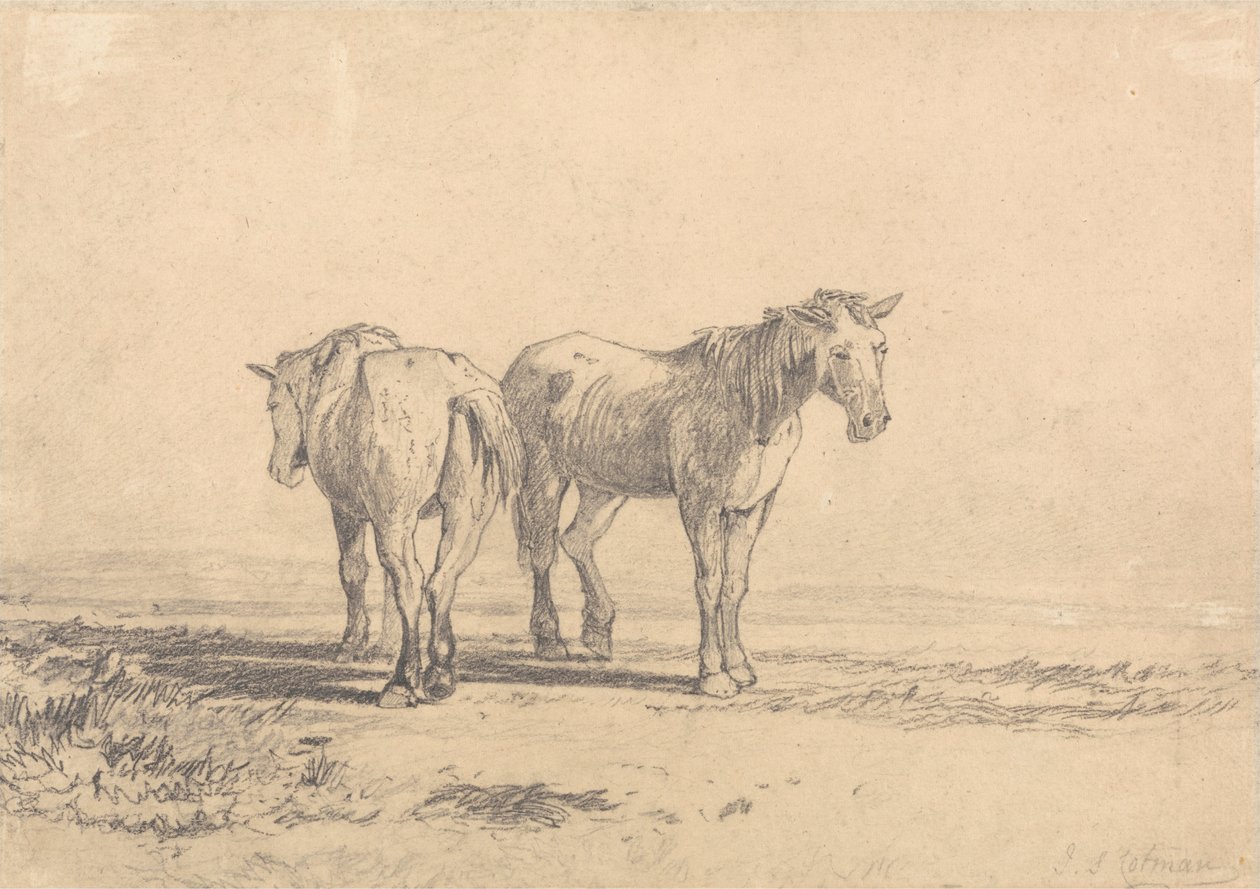 Twee oude paarden in een veld door John Sell Cotman