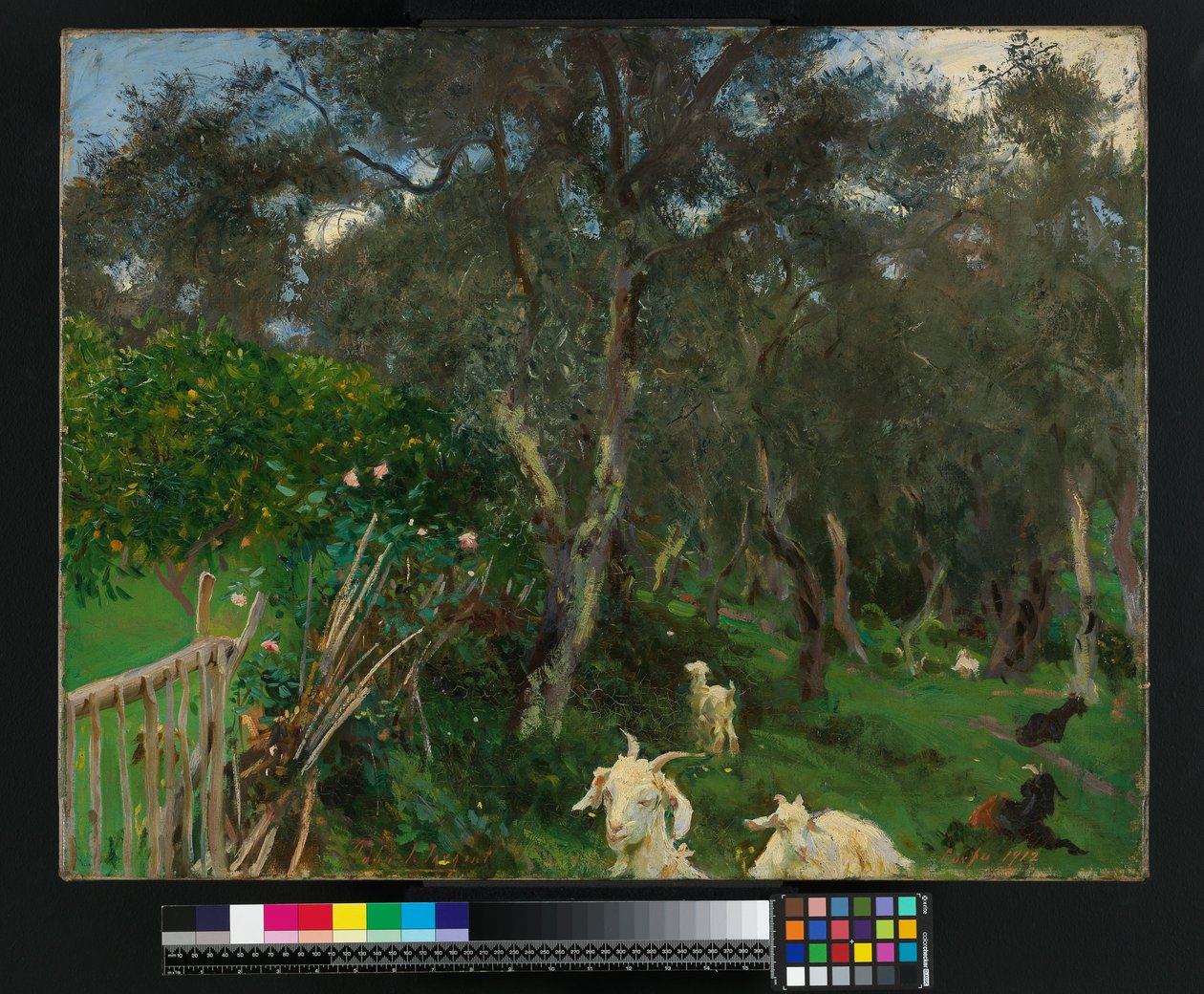 Olijven in Corfu, 1909 door John Singer Sargent