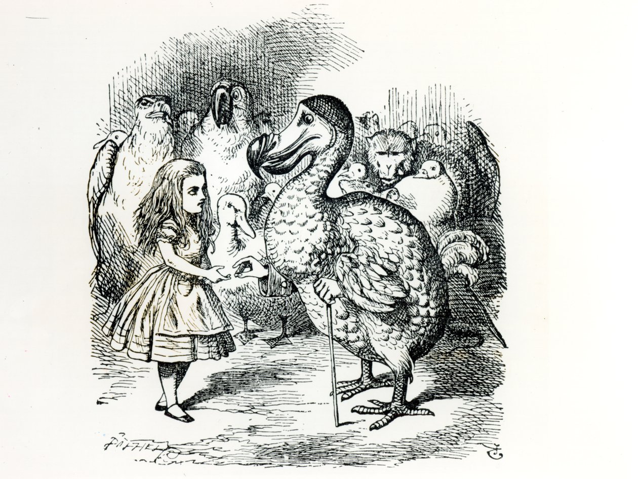 Alice ontmoet de Dodo, illustratie uit 