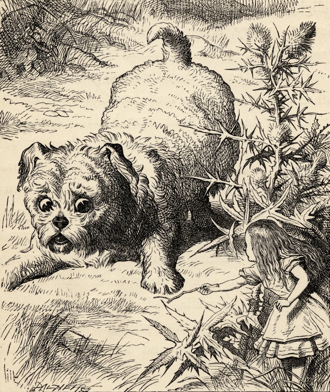 Alice krimpt en ontmoet de puppy, uit 