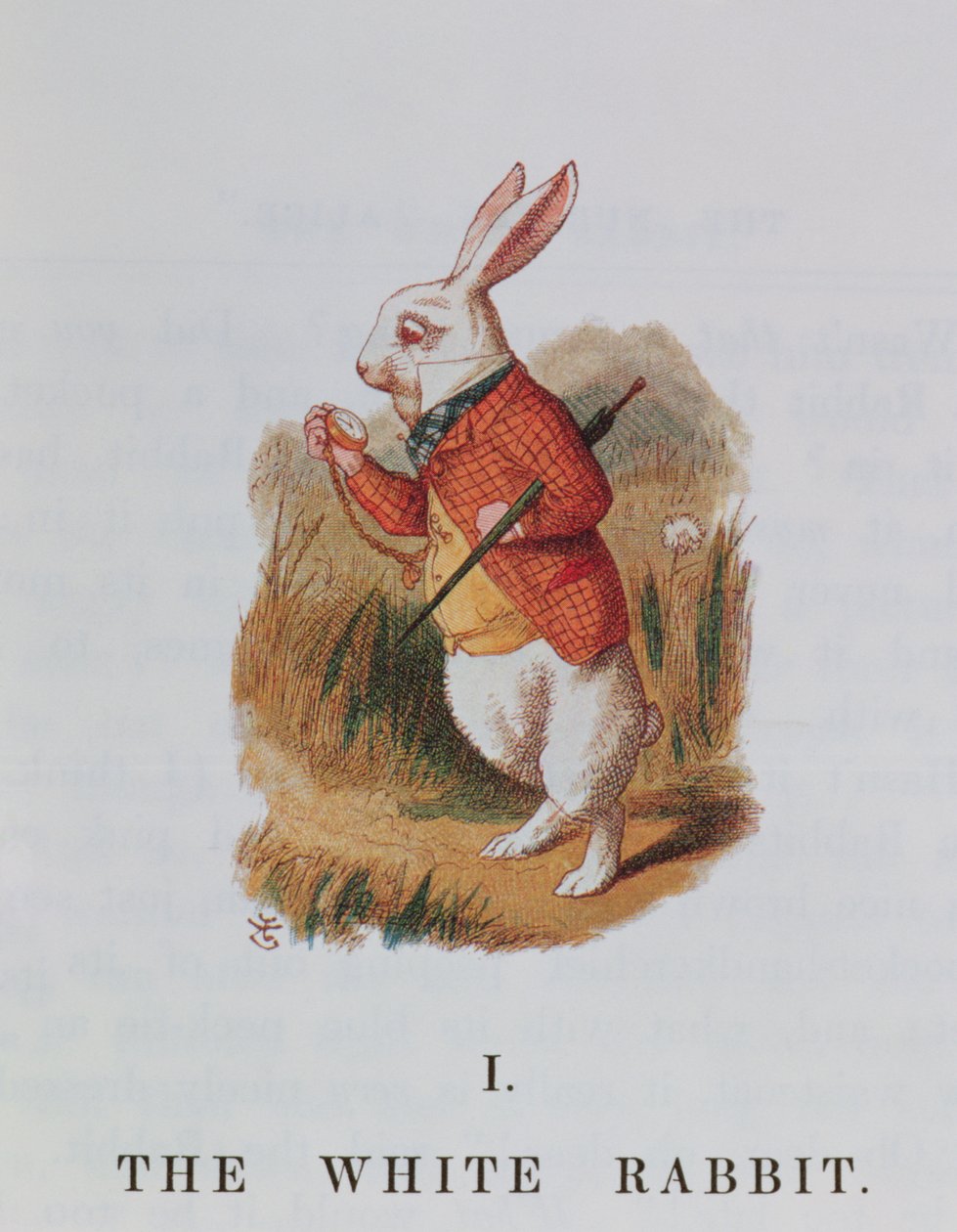 Het Witte Konijn, illustratie uit 