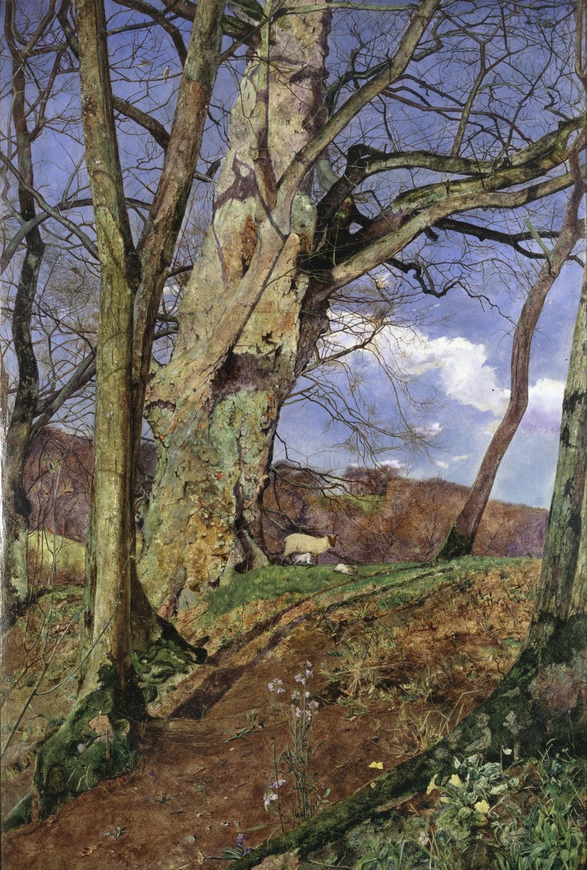 In de vroege lente: een studie in maart door John William Inchbold