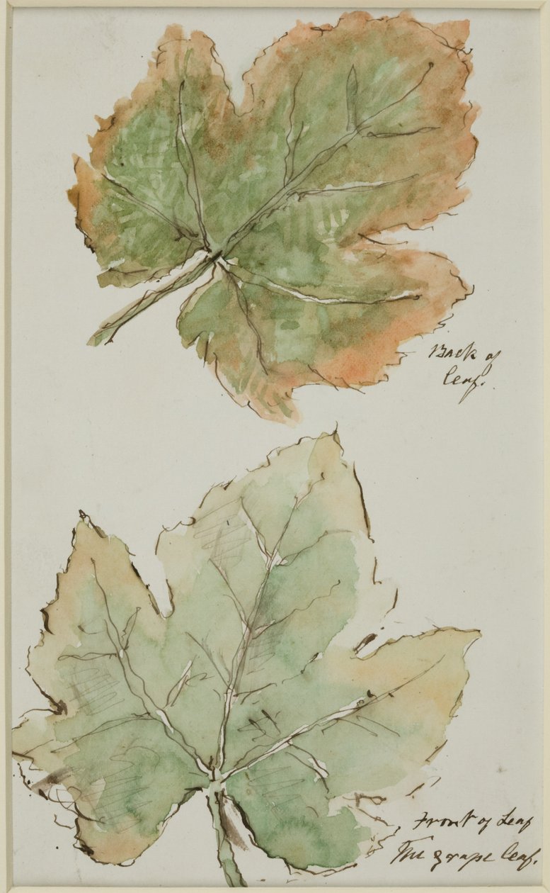 Het Druivenblad door John Wilson Carmichael