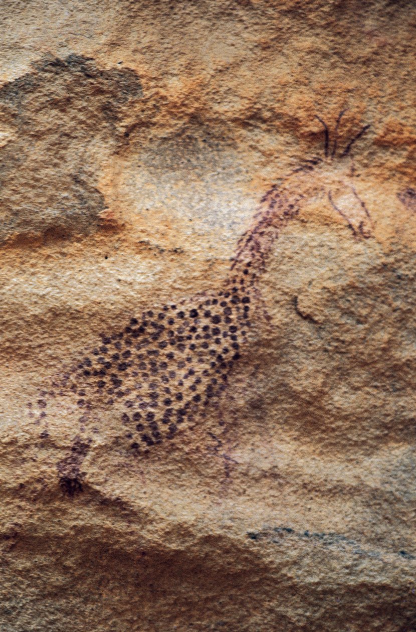 Giraffe, rotsschildering, Pastoraal Tijdperk (4000-2500 v.Chr.), Tassili n