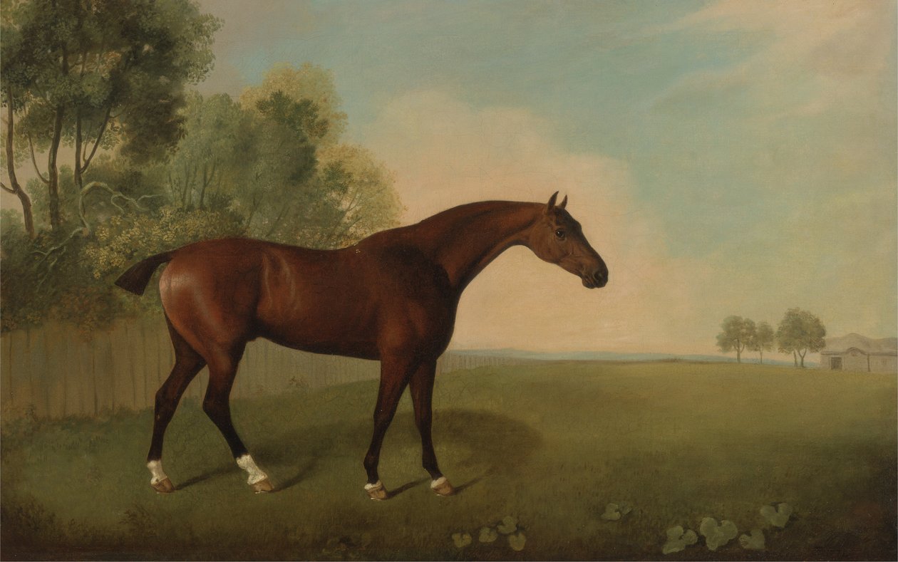 Een bruine hengst in een veld, 1778 door John Boultbee