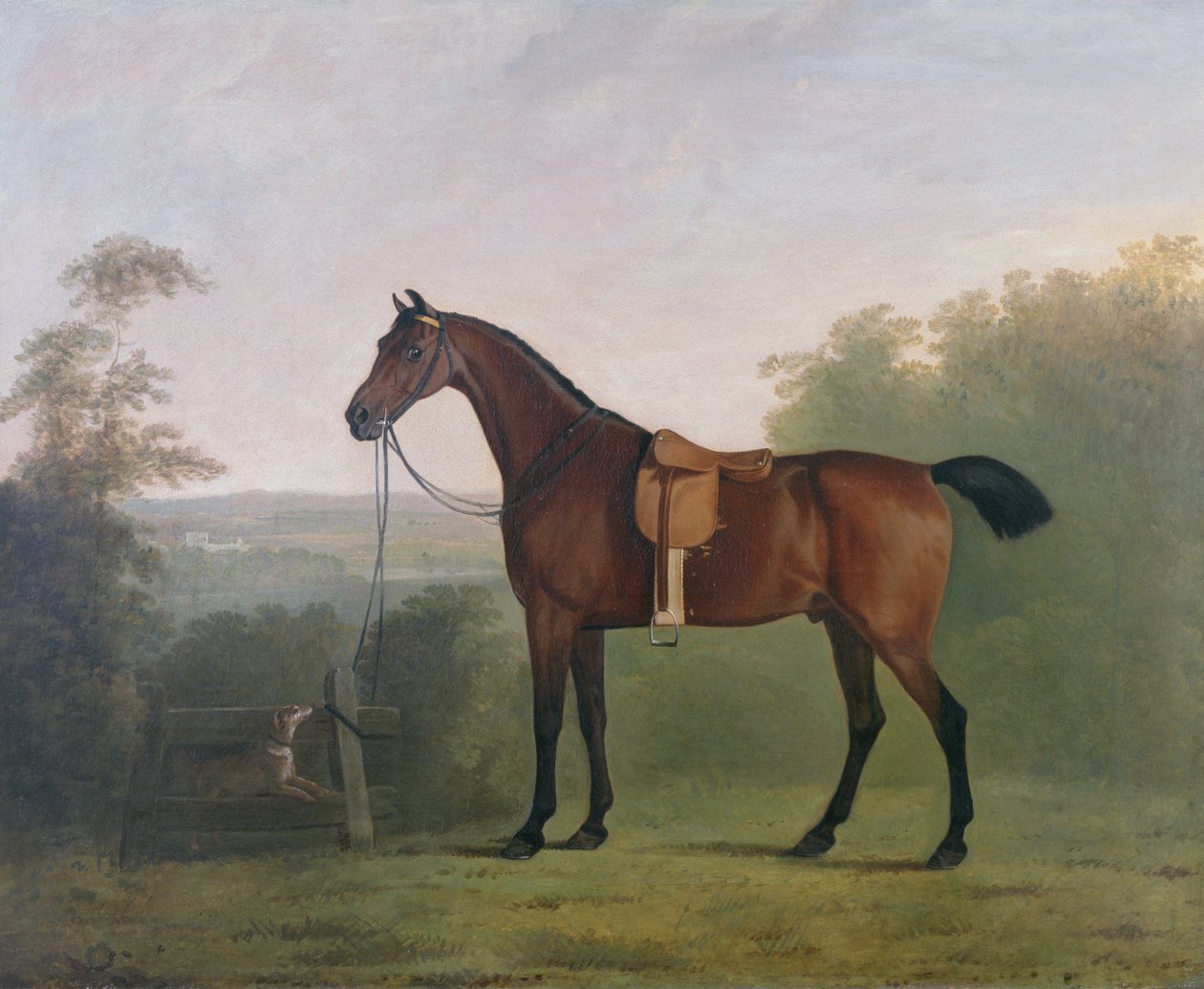 Een Bruine Jager in een Landschap door John Boultbee
