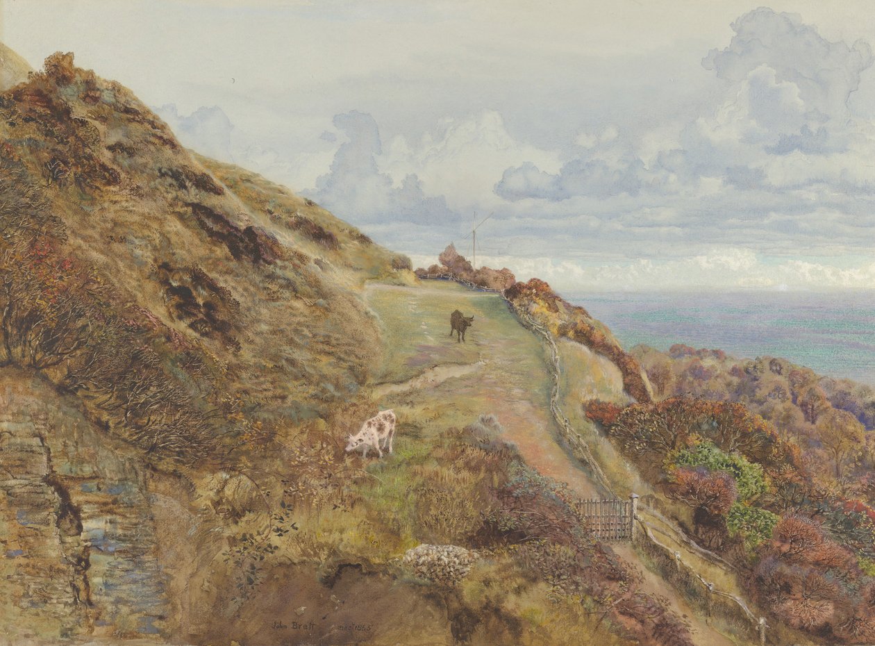 Bonchurch Downs, 1865 door John Brett