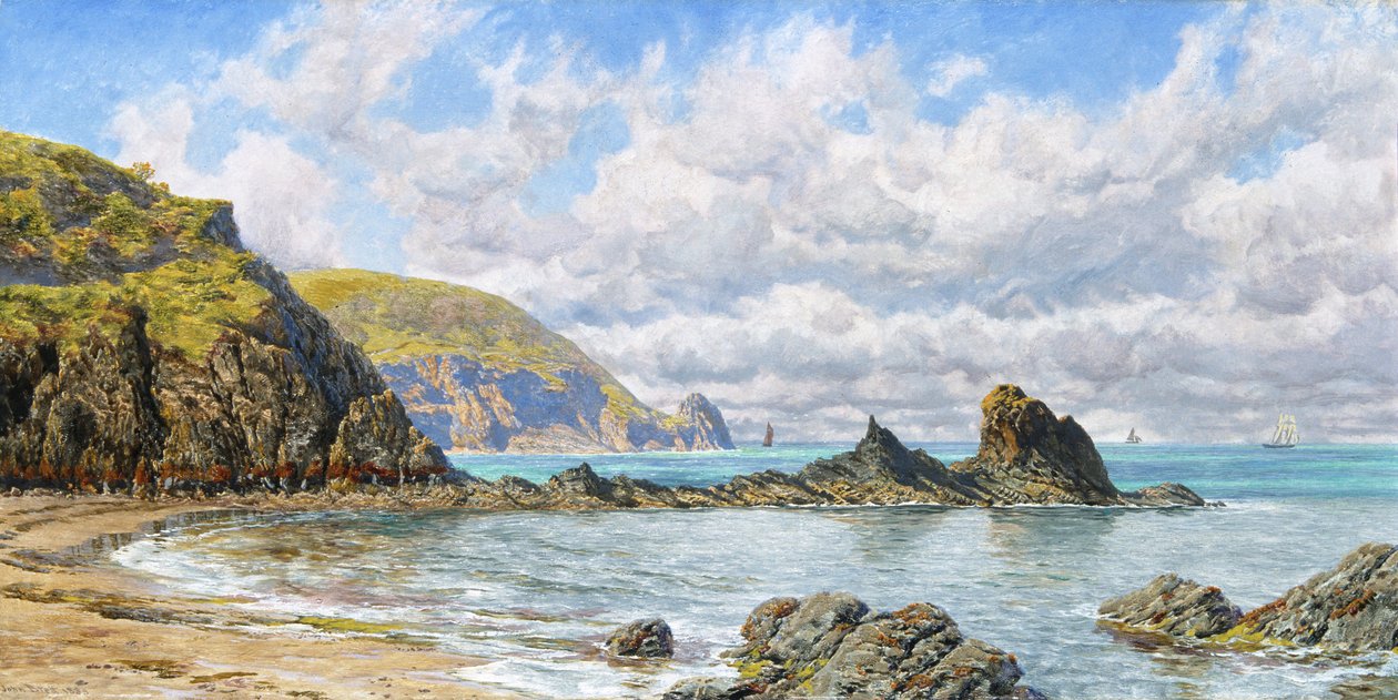 Bosbaai, Cardigan Bay, 1883 door John Brett
