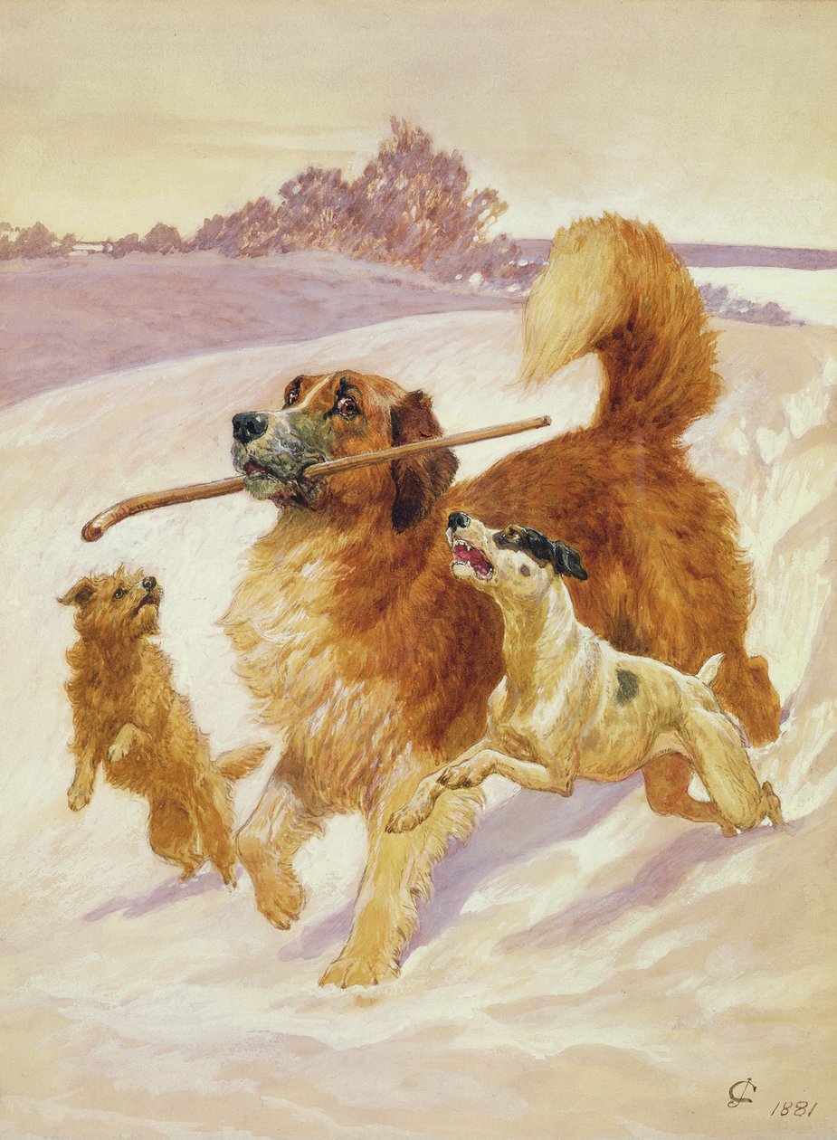 Drie honden spelen in de sneeuw, 1881 door John Charlton