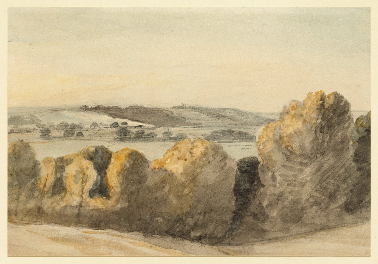 Dedham Vale door John Constable