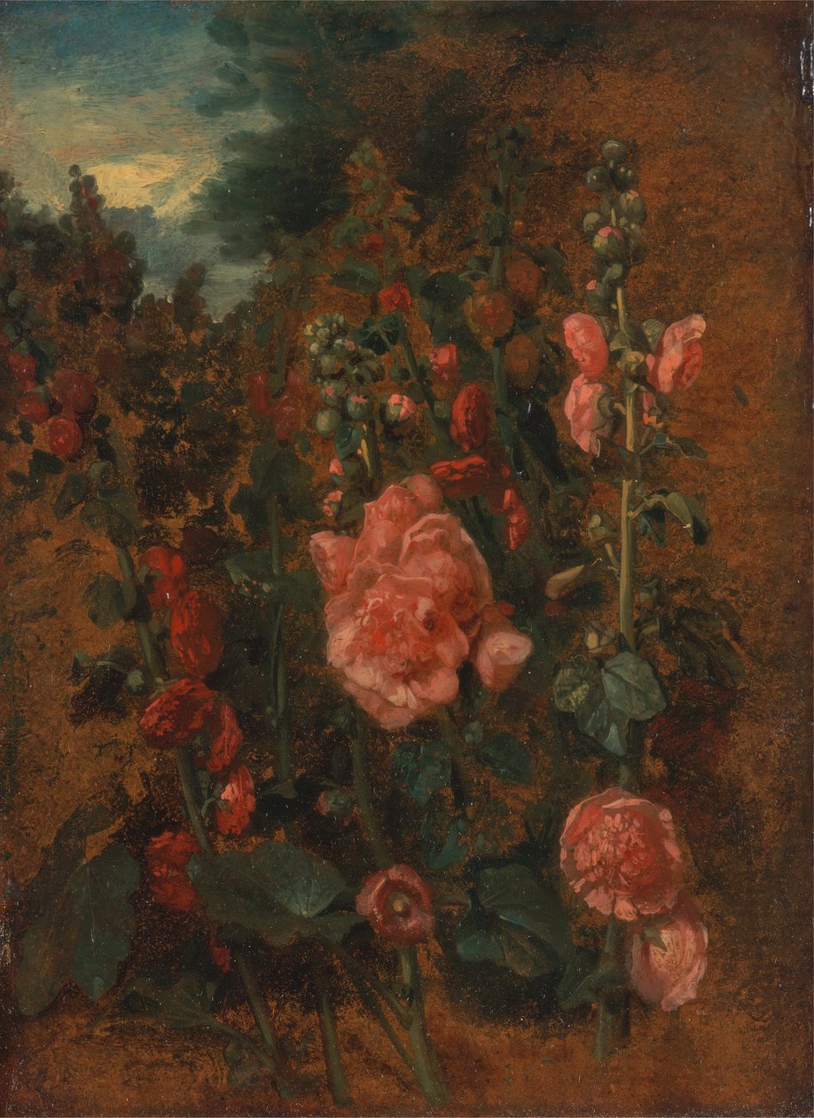 Studie van stokrozen door John Constable