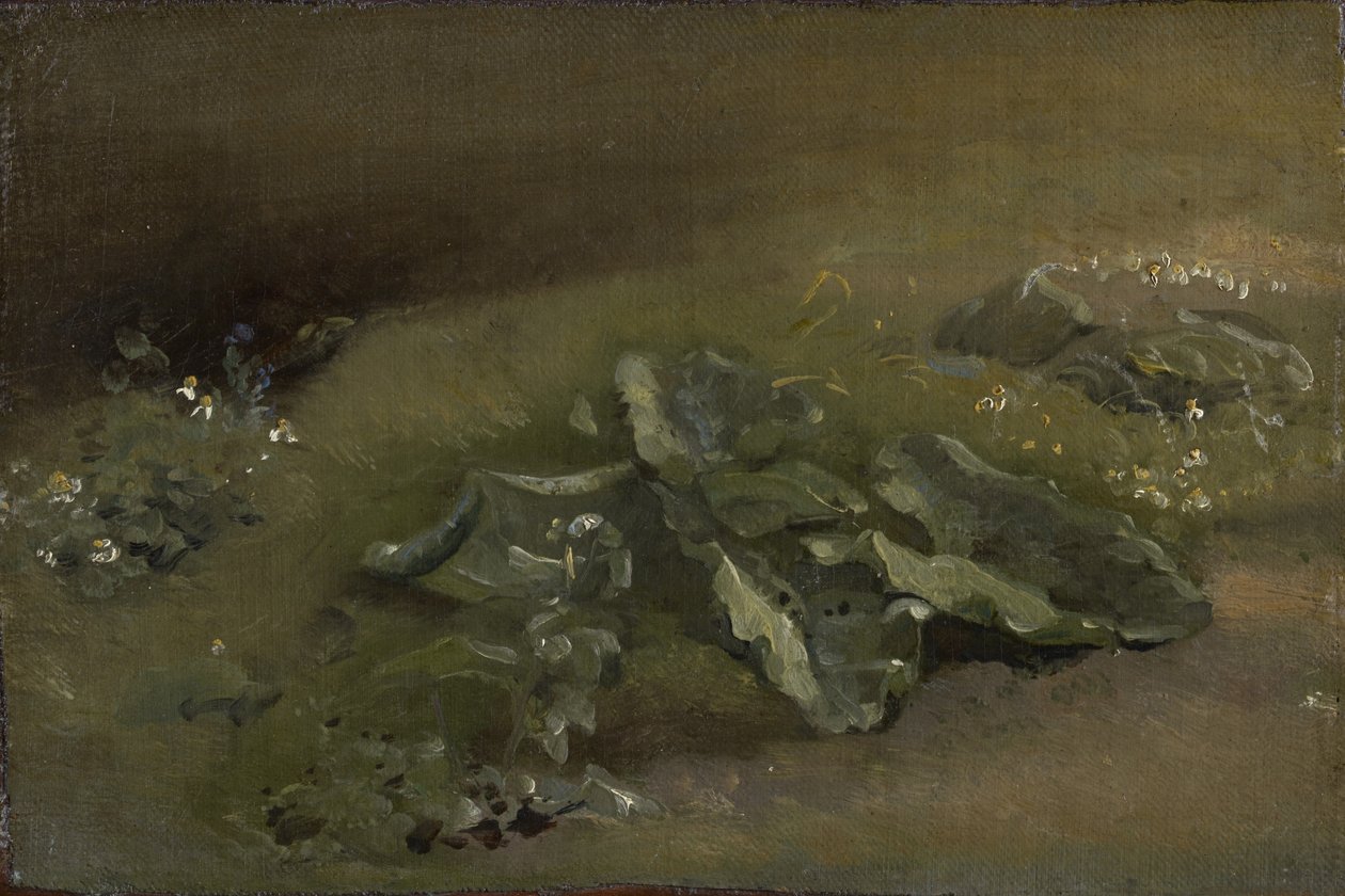 Studie van een klis, ca. 1810-14 of ca. 1828 door John Constable