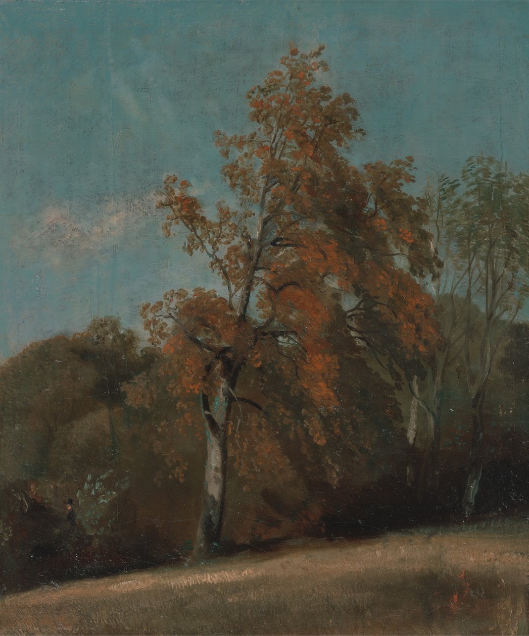 Studie van een es, tussen 1801 en 1803 of tussen 1810 en 1830 door John Constable