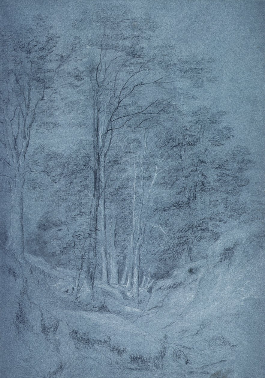 Studie van essen en andere bomen door John Constable