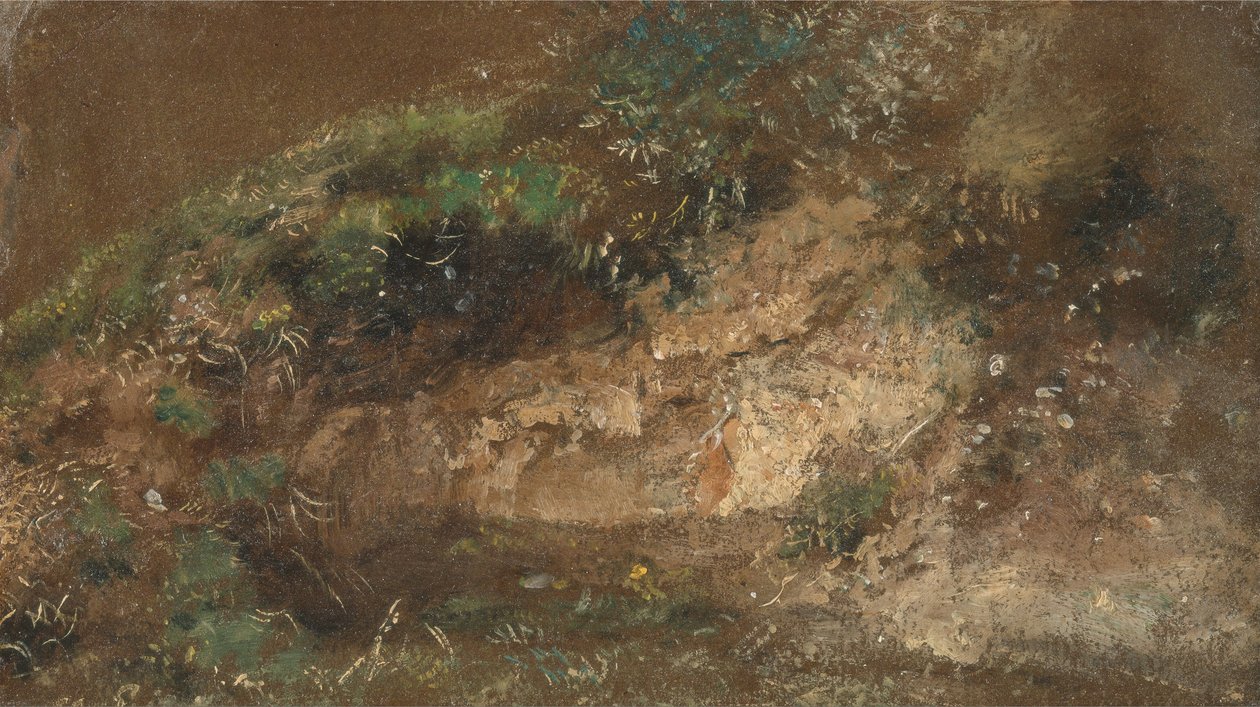 Ondergroei door John Constable