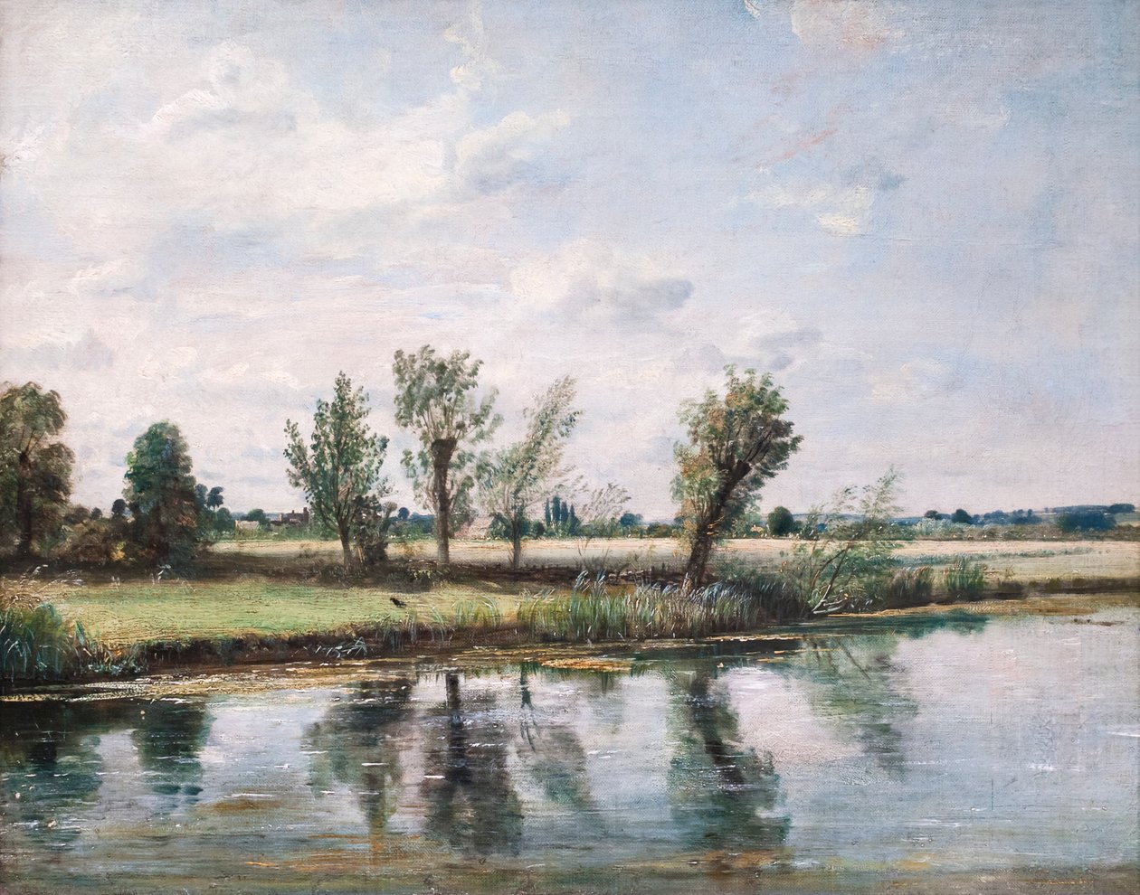 Waterweiden bij Salisbury door John Constable