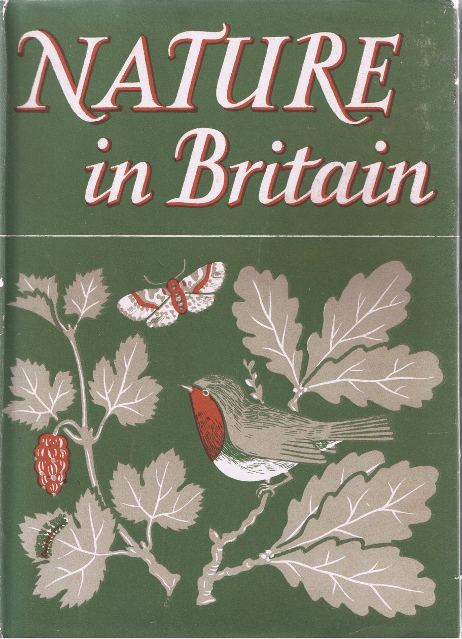 Studie van Bomen, Natuur in Groot-Brittannië gepubliceerd door Collins, 1946 door John Crome